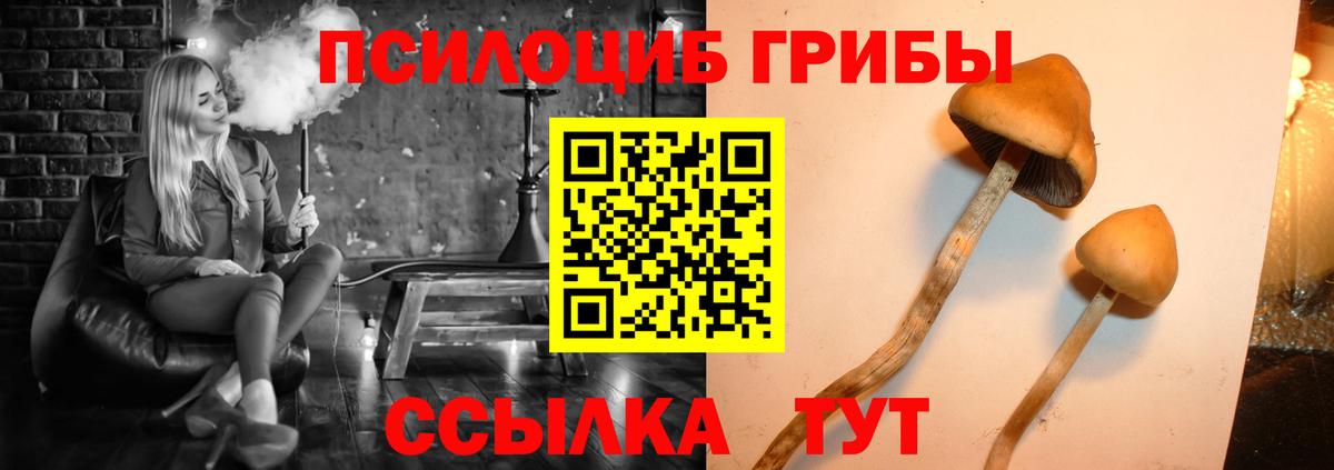 Галлюциногенные грибы Magic Shrooms  Вход с VPN  купить наркоту  Хабаровск 